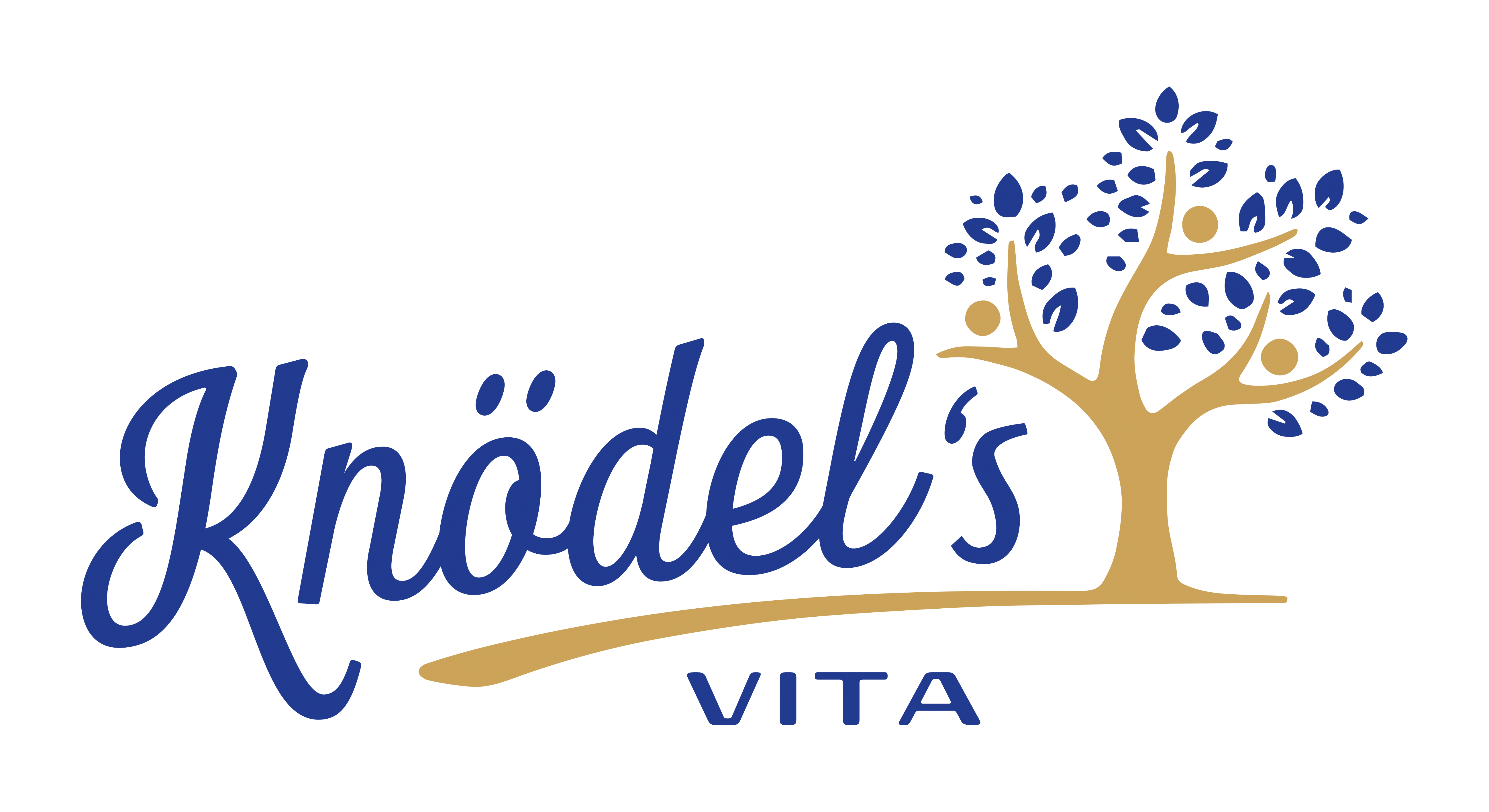 Knödel's VITA
